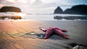 《光与影：33号远征队》中文版